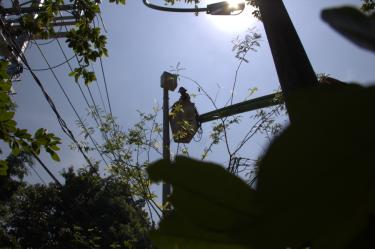 Migración de redes segundo tramo Cra. 43a